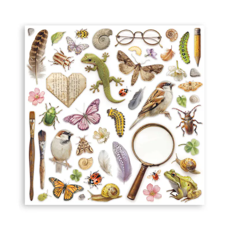 Stamperia – All Around 8x8 Inch Paper Pack Maxi Pad