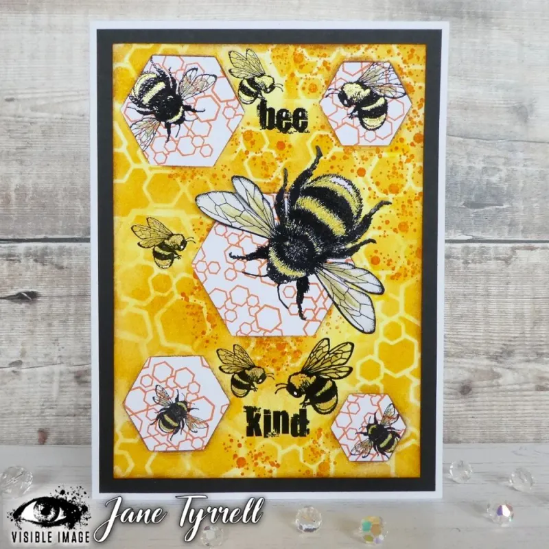 Visible Image – Bee Happy A6 Stamp Set