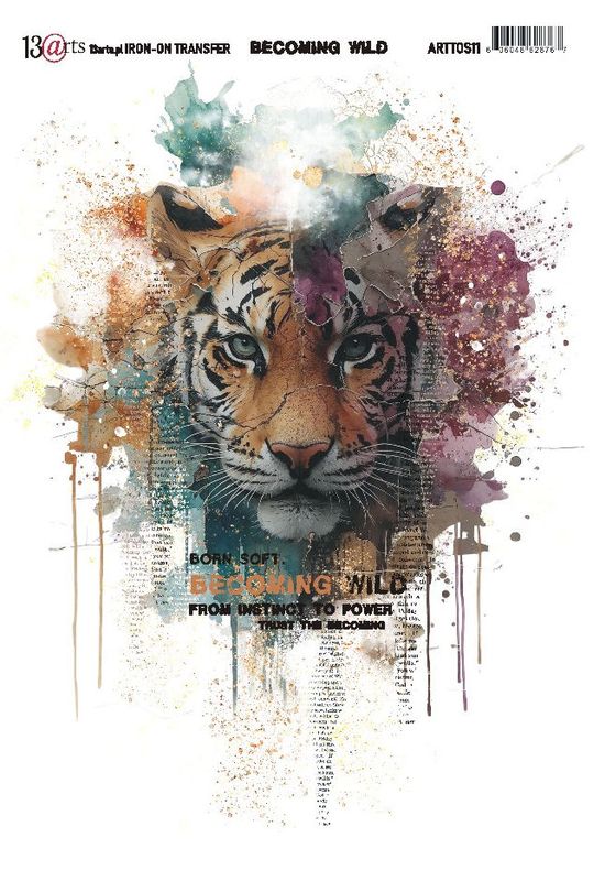 13@rt Becoming Wild – Transfer
